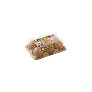 Huevos de gallinas camperas