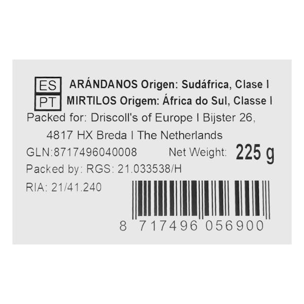 Arándanos