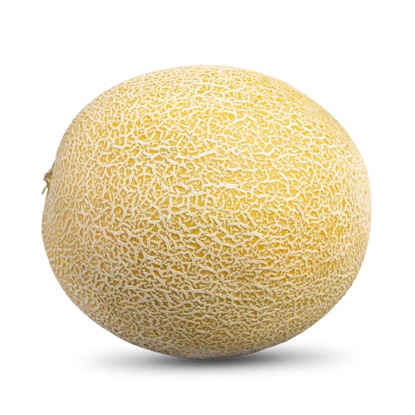 Melón Galia