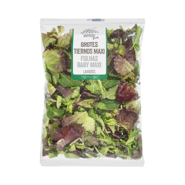 Imagen de Ensalada mezcla brotes tiernos maxi lavada